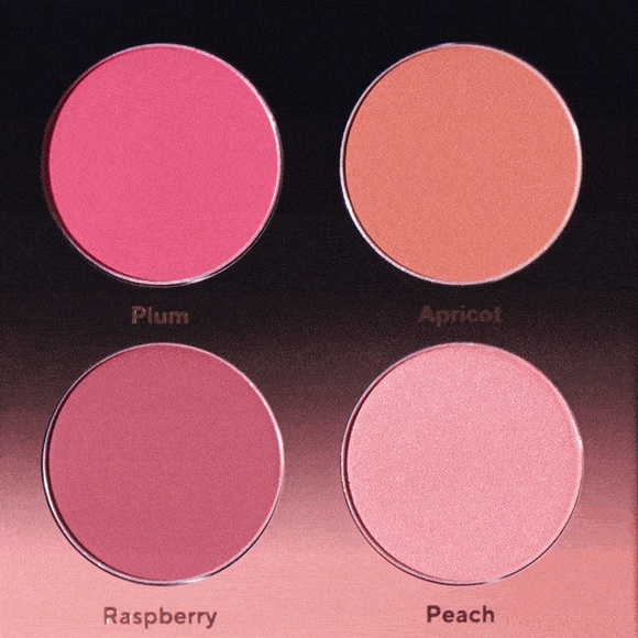 💗SHADES BY SHAN BLUSH PALETTE & MOTD SPARKLY FACE MAKEUP BRUSHES - Picture 9 of 13